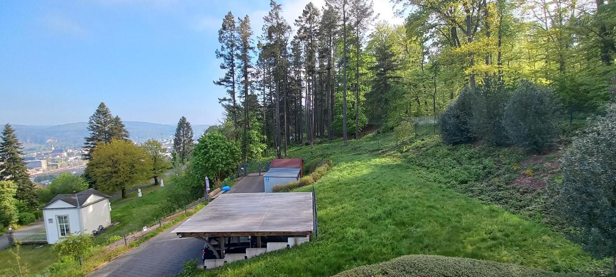 Ferienwohnungen Petrisberg Trevír Pokoj fotografie